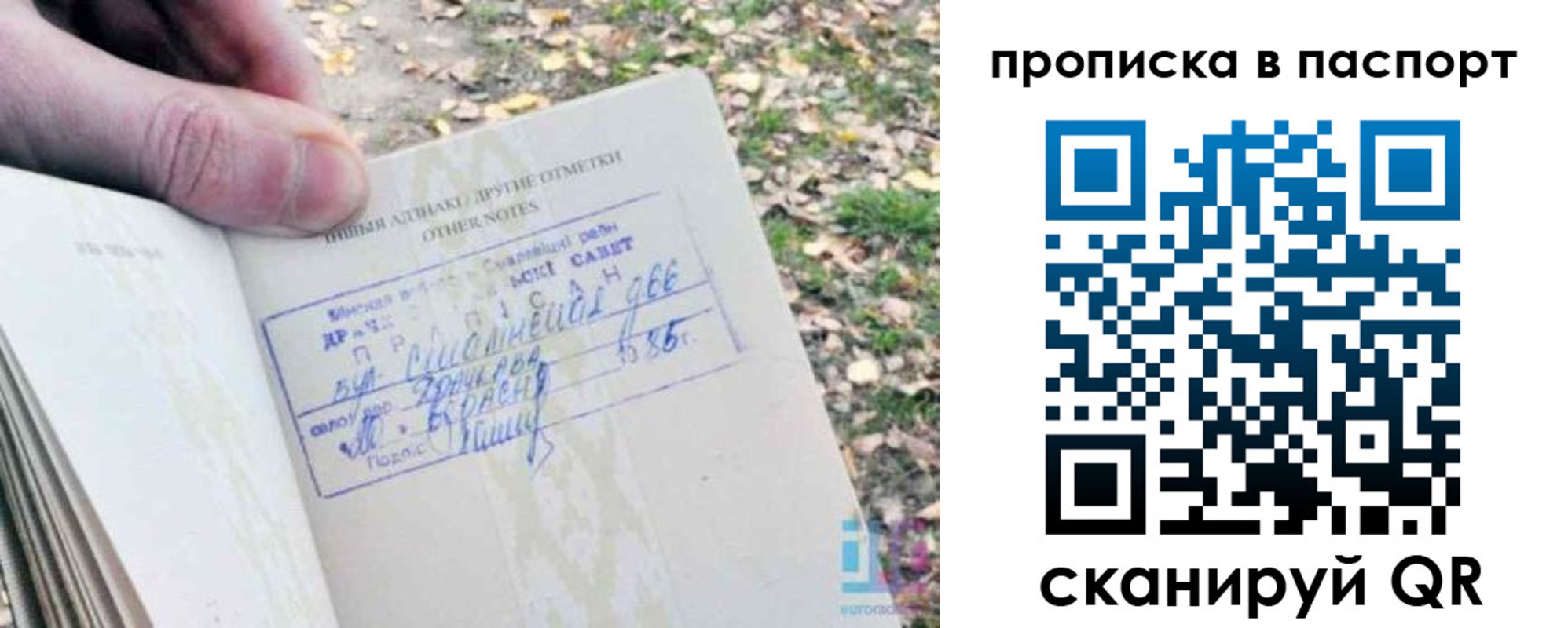 купить прописку в Кушве